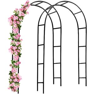 Gardebruk - Support pour plantes grimpantes noir en métal Arche de jardin Tuteur plantes Décoration extérieure 2x arches de jardin - Publicité