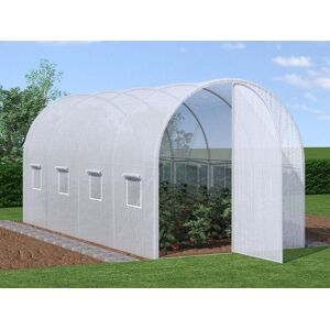 Vente uniquecom Serre tunnel avec structure en acier galvanise et porte 9 m² L200 x l450 x H200 cm ALOCASIA