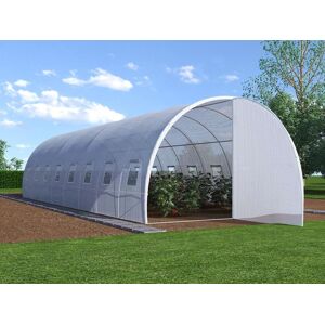 Vente uniquecom Serre tunnel avec structure en acier et porte 24 mA² L300 x l800 x H200 cm ALOCASIA