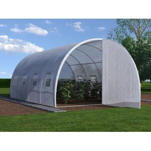 Vente uniquecom Serre tunnel avec structure en acier et porte 12 mA² L300 x l400 x H200 cm ALOCASIA