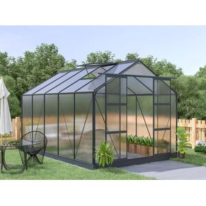Vente-unique.com Serre de Jardin en polycarbonate de 9 m² avec embase - Anthracite - COROLLE II