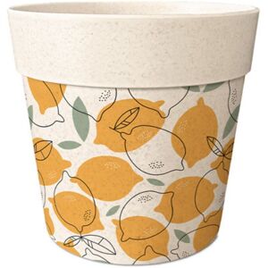 Cache Pot Bambou Citrons 6 Cm - Publicité