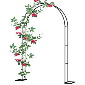 Gerrit Arche de jardin pergola, arche de rose en métal plantes grimpantes, arche de mariage, clôture de jardin, treillis tonnelle résistant aux intempéries, pour jardin, mariage, décoration de fête (couleur - Publicité