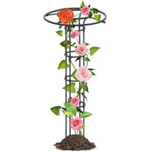 LKUOU Arceau Arche rosiers pergola Obélisque de Jardin Support tuteur métal Colonne pour Plantes grimpantes (Color : Black, Size : 120cm/47.2in) - Publicité