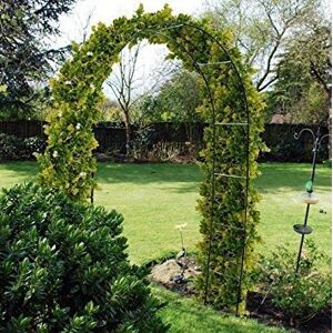 Other Arche de jardin pour plantes grimpantes en acier 2,4 m Treillis Pour les chemins extérieurs Roses - Publicité