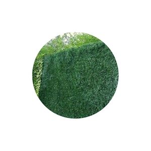 Haie artificielle 243 brins vert thuyas en rouleau Lux (1.5 x 3 m) Jet7garden - Publicité