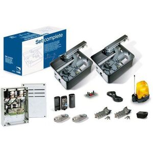 Motorisation Portail enterrÃ©e CAME U1990 FROG 24V Kit + 2 tÃ©lÃ©commandes!