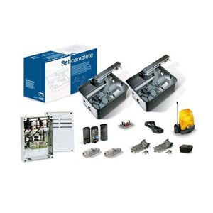 CAME Motorisation Portail enterrÃ©e CAME U1990 FROG 24V Kit + 2 tÃ©lÃ©commandes!