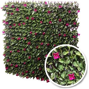 Treillis extensible Bougainvilliers : 1m x 2m