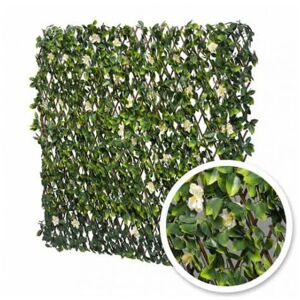 Treillis extensible Jasmin Fleuri : 1m x 2m