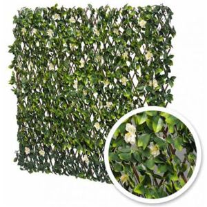 Treillis extensible Jasmin Fleuri : 1m x 3m