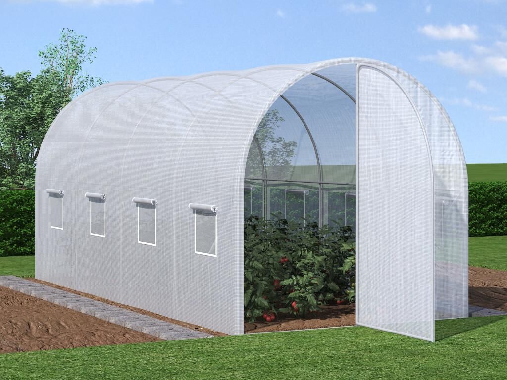 Vente-unique.com Serre tunnel avec structure en acier galvanisé et porte 9 m² - L200 x l450 x H200 cm - ALOCASIA