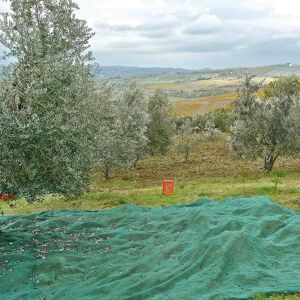 4F GROUP Rete per olive  antispina L 10 x H 8 m