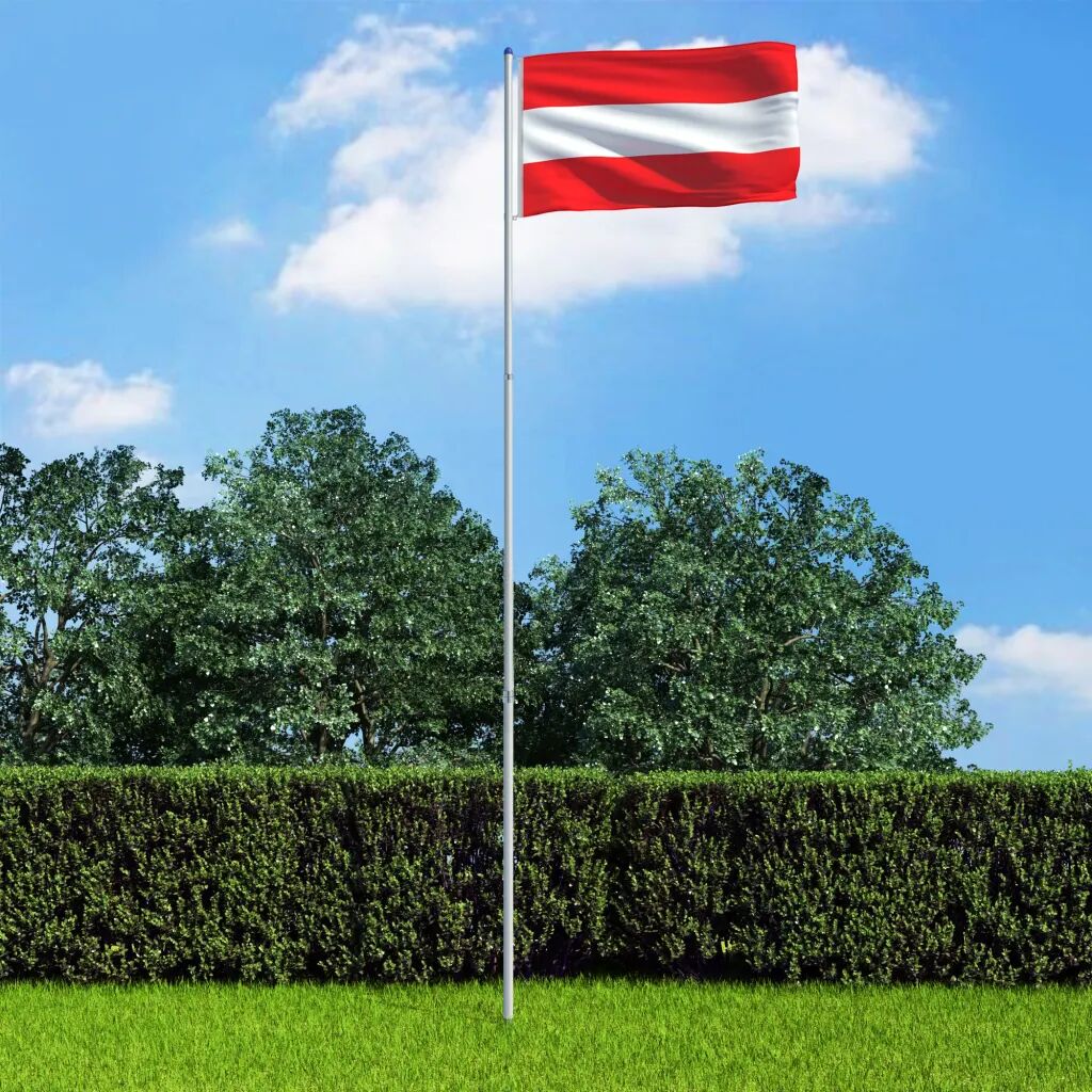 vidaXL Østerriksk flagg og stang aluminium 6 m