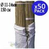 Suinga Pacote 50 x Estacas de Bambu 150 cm, 11-14 mm. Varas de bambu, cana de bambu ecológica para apoiar árvores, plantas e vegetais