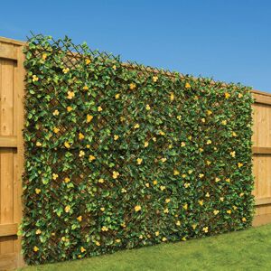 Christow Trellis With Yellow Flowers (1m x 2m) - Yellow