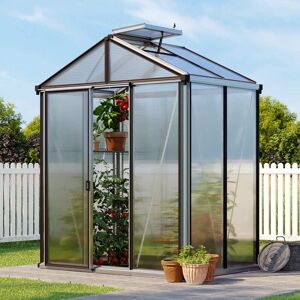 GFP 199 x 137 cm Greenhouse, anthracite grey, RAL 7016, Special offer set: Pro 2 - (GFPV00129)