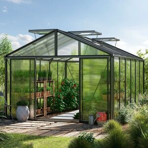 GFP 311 x 460 cm Greenhouse, anthracite grey, RAL 7016, Special offer set: Pro 2 - (GFPV00227)