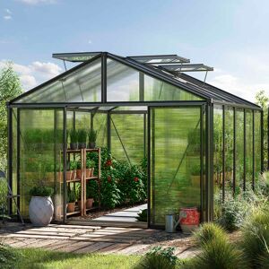 GFP 311 x 385 cm Greenhouse, anthracite grey, RAL 7016, Special offer set: Pro 1 - (GFPV00258)