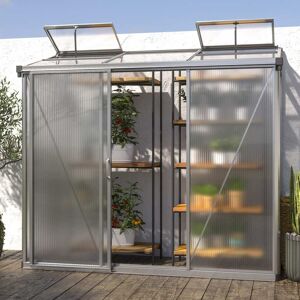 GFP 222 x 77 cm Lean-to greenhouse - (GFPV00282)