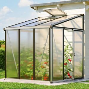 GFP 199 x 194 cm Lean-to greenhouse - (GFPV00747)