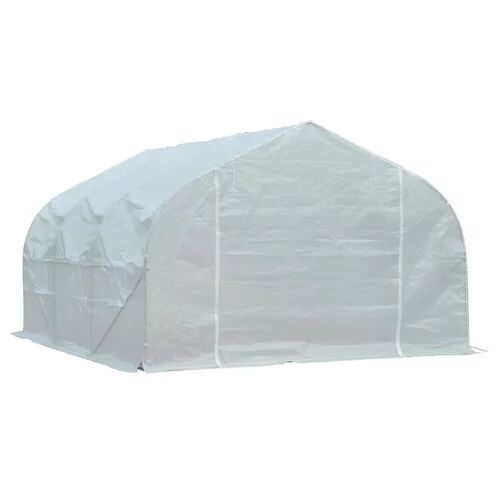 Dakota Fields Orlane 10 Ft W x 11.5 Ft D Greenhouse Dakota Fields  - Size: 65cm H x 140cm W x 80cm D