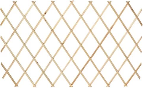 Dakota Fields 5 Piece Wood Expanding Trellis Dakota Fields  - Size: 100cm H X 500cm W