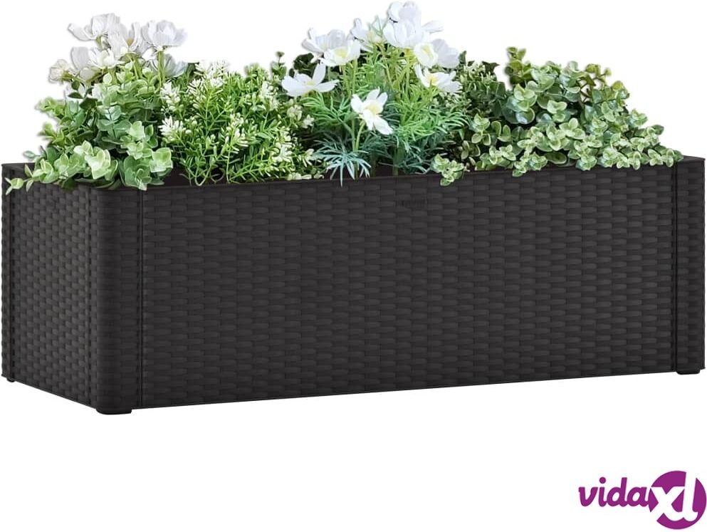 vidaXL Garden Raised Bed with Self Watering System Anthracite 100x43x33 cm