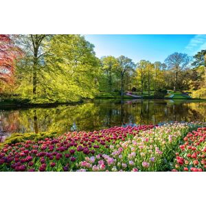 Papermoon Fototapete »GARTEN-BLUMEN BÄUME PFLANZEN STEINE WALD PARK BLÜTEN« bunt  B/L: 2,00 m x 1,49 m