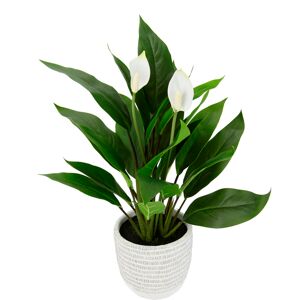 I.GE.A. Kunstpflanze »Spathiphyllum«, im Topf Anthurie Calla Flamingoblume... grün,weiss Größe