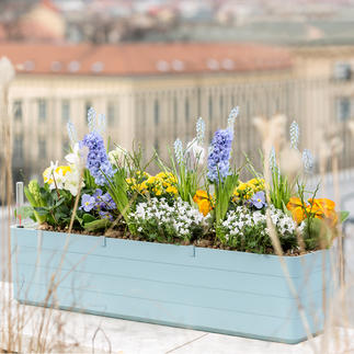 Plastia Blumenkasten Berberis 80, Selbstbewässerung, graublau/weiss