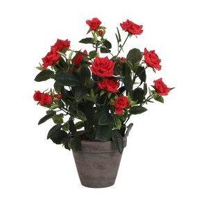 Mica Decorations Mica künstlicher Rosenstrauch rot im Blumentopf 33 x 25 cm