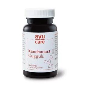 Ayu Care Kanchanara Guggulu (Tabletten) Pflanzen- & Naturtherapie 60 g
