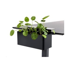 APTO FLOWERBOX Blumenkasten 397x194mm mit Tischklemmen, schwarz