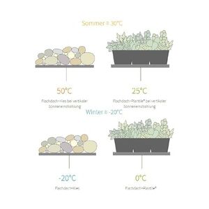 Pflanzen Dachbegrünung bis 25° Dachneigung 12 m2