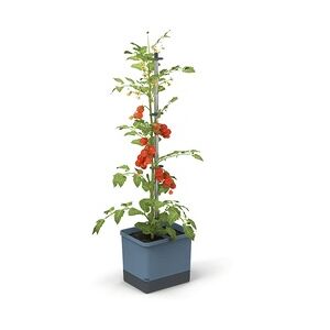 Gusta Garden Tom Tomato Draußen Topfpflanzer Freistehend Polypropylen (PP), Aluminium Blau