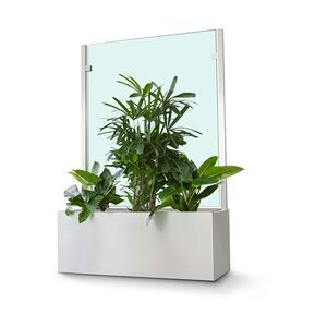 Glasprofi Pflanzkasten Outdoor Sichtschutz / Hygieneschutz, 180x200x50