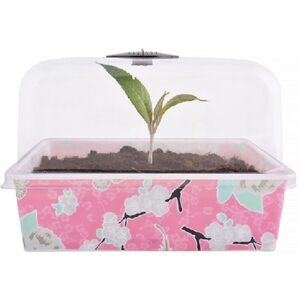 1-er Set Blumentopf 22x17x15 cm Jet-line