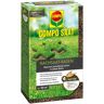 COMPO SAAT® Nachsaat-Rasen 1 kg für 50 m²