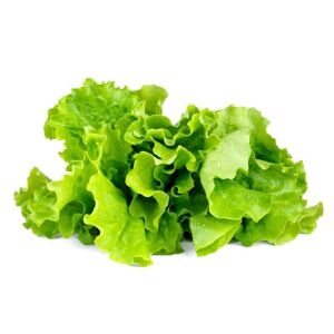 Click and Grow Smart Garden Refill 3-pack - Bladsalat
