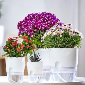 BayOne Selvvandende blomsterpotte Automatisk kunstvanding 2-pack