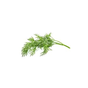 Click and Grow Click & Grow SGR49x3, Spiselig plante, Dild, Genopfyldning, Hurtig producent (3-5 uger), 7 - 14 dage, 1 - 2 måned(er)