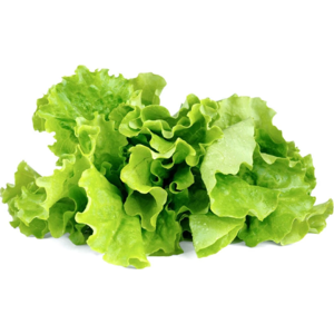 Click And Grow Grøn Salat - 3 Stk