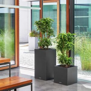 LECHUZA plantekrukke CANTO Stone 40 High ALL-IN-ONE grafitsort