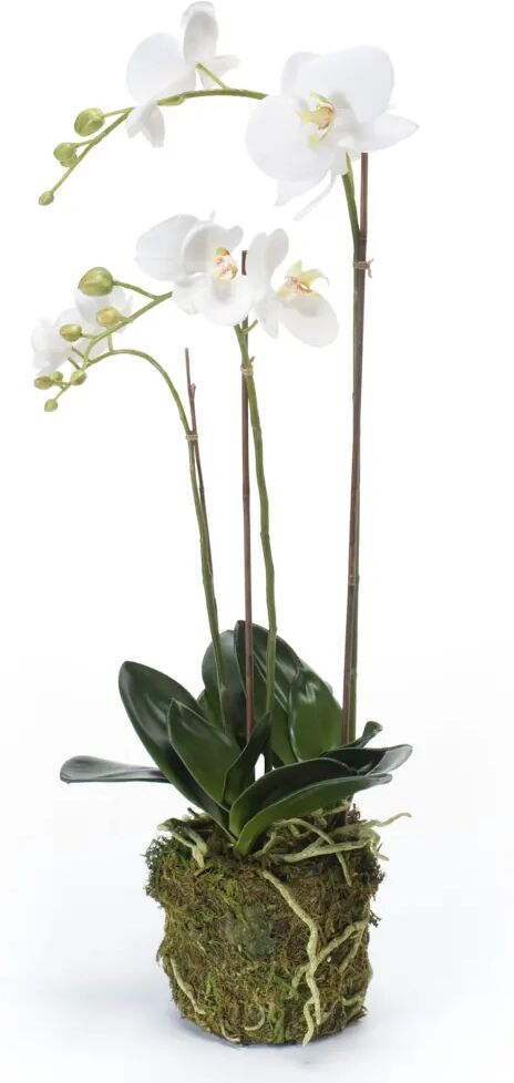 Emerald kunstig phalaenopsis-orkidé 70 cm hvid