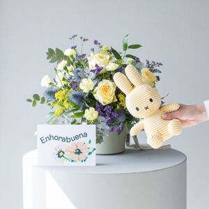 Flores a Domicilio - Pack Baby: Arreglo Crema con Miffy y Dedicatoria - COLVIN