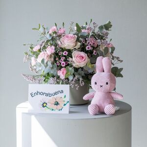 Flores a Domicilio - Pack Baby: Arreglo Rosa con Miffy y Dedicatoria - COLVIN