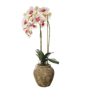 Sia Deco Orquídea en maceta artificial blanca y rosa h71