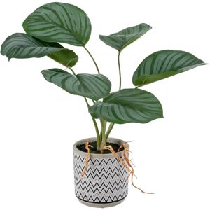 LOLAhome Planta artificial Colocasia verde de plástico de Ø 27x32 cm