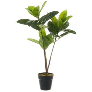 LOLAhome Planta artificial ficus con maceta verde de plástico PE de 75 cm